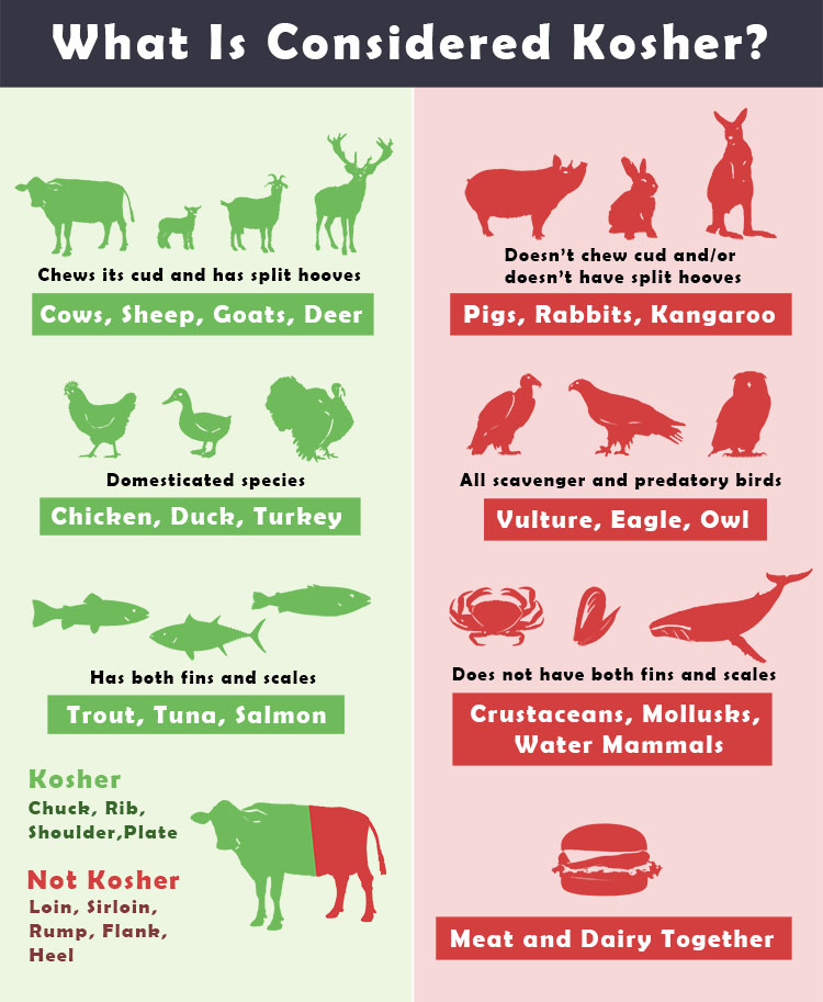 Infographic showing kosher and non-kosher food